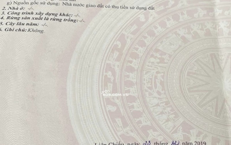 Chào Bán đất mặt tiền Nguyễn Chơn - Trục đường kinh doanh